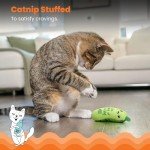 Crunchy Pickle Kicker Catnip Dental Toy