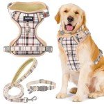 GAMUDA Reflective Adjustable Dog Harness and Leash