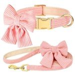 Didog Pink Bowtie Collar and Leash Set for Dogs