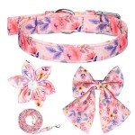 Cute Floral Collar and Leash Set for Dogs