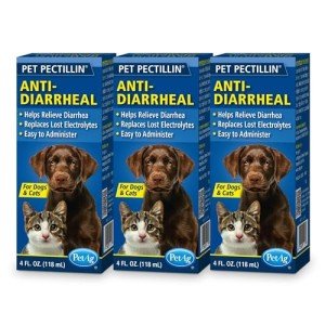 Pectillin Diarrhea Medication for Dogs and Cats 3-Pack