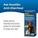 Pectillin Diarrhea Medication for Dogs and Cats 3-Pack