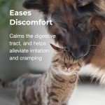 Pectillin Diarrhea Medication for Dogs and Cats 3-Pack