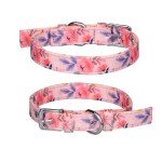 Cute Floral Collar and Leash Set for Dogs