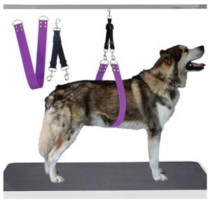 Pet Dog Grooming Belly Strap - Purple Support