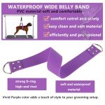 Pet Dog Grooming Belly Strap - Purple Support