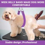 Pet Dog Grooming Belly Strap - Purple Support