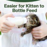 Gufastoe Pet Feeding Bottle & Mini Nipples