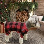 4 Pack Dog Pajamas for Small Pets – Plaid