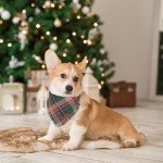 Christmas Plaid Dog Bandana with Tassels
