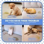 Dog Potty Training Spray - 100ML Bottle