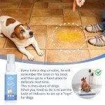 Dog Potty Training Spray - 100ML Bottle