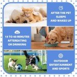 Dog Potty Training Spray - 100ML Bottle