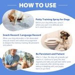 Dog Potty Training Spray - 100ML Bottle