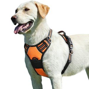 Eagloo Large Dog No-Pull Harness with Handle
