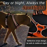 Eagloo Large Dog No-Pull Harness with Handle