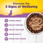 Wellness Complete Health Senior Chicken Dog Food