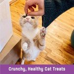 Wellness Kittles Crunchy Grain-Free Cat Treats