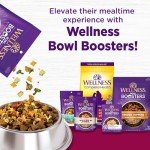 Wellness Complete Grain-Free Small Breed Dog Food