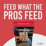 Blue Ridge Premium Koi and Goldfish Food - 2lb