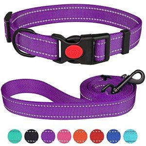 Reflective Adjustable Dog Collar and Leash Set
