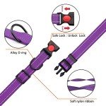 Reflective Adjustable Dog Collar and Leash Set