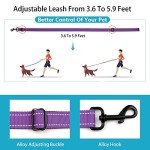 Reflective Adjustable Dog Collar and Leash Set