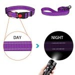 Reflective Adjustable Dog Collar and Leash Set