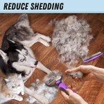 Pet Grooming Brush and Metal Comb Combo