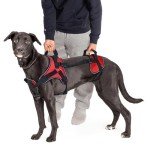 Multi-Functional Full-Body Dog Harness Vest
