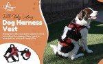 Multi-Functional Full-Body Dog Harness Vest