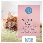 Catego Flea and Tick Control for Cats - 3 Pack