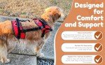 Multi-Functional Full-Body Dog Harness Vest