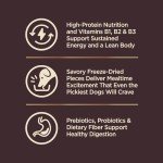 Wellness CORE+ Grain Free Small Breed Dog Food