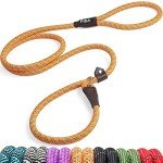 Durable No-Pull Dog Training Leash - 6 FT