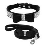 Bling Rhinestone Dog Collar and Leash Set