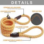 Durable No-Pull Dog Training Leash - 6 FT