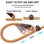 Durable No-Pull Dog Training Leash - 6 FT