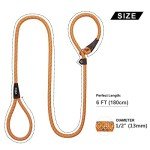 Durable No-Pull Dog Training Leash - 6 FT