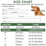 Waterproof Adjustable Dog Collar and Leash Set