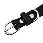 Bling Rhinestone Dog Collar and Leash Set