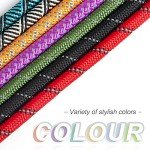 Durable No-Pull Dog Training Leash - 6 FT