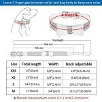 Bling Rhinestone Dog Collar and Leash Set