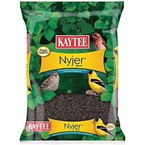 Kaytee Nyjer Seed for Wild Birds - 3 lbs