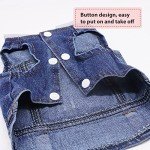 Cool Blue Denim Dog Jeans and Jacket