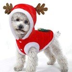 Christmas Outfits for Large Dogs and Cats