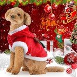 Christmas Outfits for Large Dogs and Cats