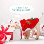 Christmas Outfits for Large Dogs and Cats