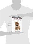Cavapoo Care Guide: Puppy to Senior Essentials
