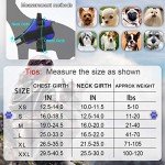 Reflective No-Pull Dog Harness with Handle - Blue